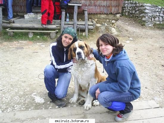 Poze IV - eu cu alexxa in piatra craiului ( si cu sira) =D - Nimicuri