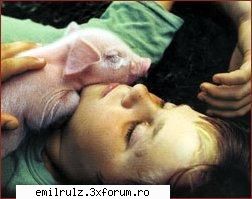 alte poze - sunt sigura ca tre' sa devin vegetariana - Nimicuri